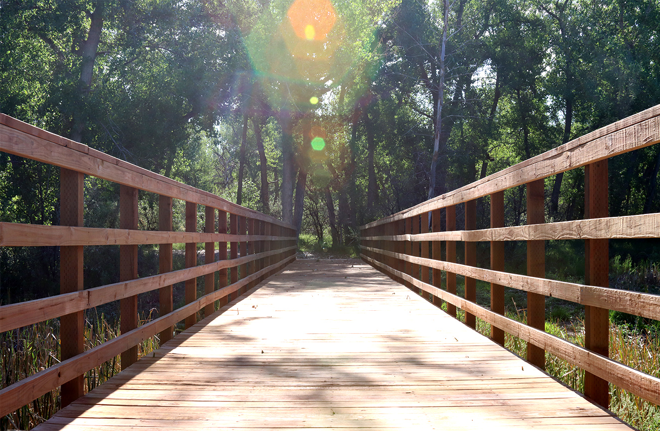 Bridge on Fountain Trail